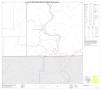 Primary view of P.L. 94-171 County Block Map (2010 Census): Real County, Block 35