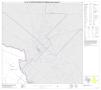 Primary view of P.L. 94-171 County Block Map (2010 Census): Reeves County, Block 9