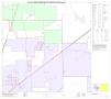 Map: P.L. 94-171 County Block Map (2010 Census): Collin County, Block 25