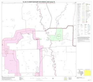 Primary view of object titled 'P.L. 94-171 County Block Map (2010 Census): Collin County, Block 13'.
