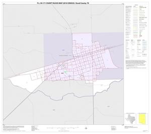 Primary view of object titled 'P.L. 94-171 County Block Map (2010 Census): Duval County, Inset C01'.