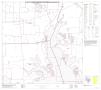 Map: P.L. 94-171 County Block Map (2010 Census): Hunt County, Block 19
