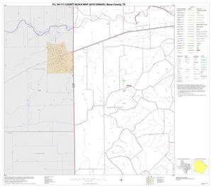 Primary view of object titled 'P.L. 94-171 County Block Map (2010 Census): Bexar County, Block 48'.