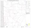 Primary view of P.L. 94-171 County Block Map (2010 Census): Jim Wells County, Block 14