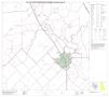 Map: P.L. 94-171 County Block Map (2010 Census): Live Oak County, Block 10