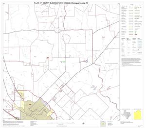 Primary view of object titled 'P.L. 94-171 County Block Map (2010 Census): Montague County, Block 12'.