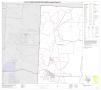 Map: P.L. 94-171 County Block Map (2010 Census): Hudspeth County, Block 1