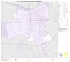 Map: P.L. 94-171 County Block Map (2010 Census): Colorado County, Inset D01