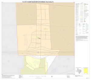Primary view of object titled 'P.L. 94-171 County Block Map (2010 Census): Titus County, Inset C01'.