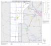 Primary view of P.L. 94-171 County Block Map (2010 Census): Jim Wells County, Index