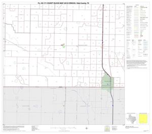Primary view of object titled 'P.L. 94-171 County Block Map (2010 Census): Hale County, Block 14'.