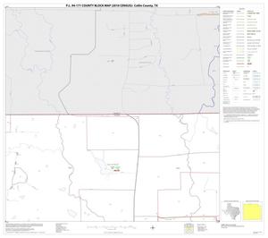 Primary view of object titled 'P.L. 94-171 County Block Map (2010 Census): Collin County, Block 4'.