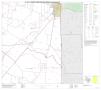 Primary view of P.L. 94-171 County Block Map (2010 Census): Duval County, Block 12