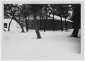 Photograph: [Side of Willis House]