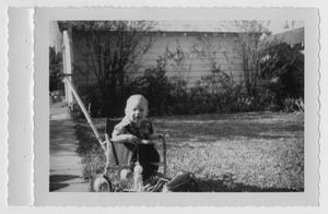 Primary view of object titled '[Todd Bradford Willis in a Stroller]'.