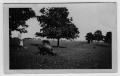 Thumbnail image of item number 1 in: '[Harberson Farm]'.