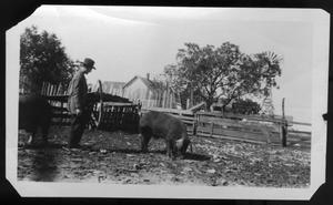 Primary view of object titled '[Harberson Farm]'.