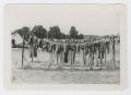 Photograph: [Laundry Day]