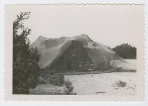 Primary view of object titled '[Men Under Camouflage Netting]'.