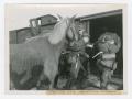 Photograph: [Soldiers and a Horse]