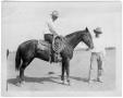 Thumbnail image of item number 1 in: '[Cole and Bug Means with roping horse]'.