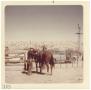 Photograph: [Cowboy with horse]