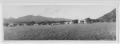 Photograph: [Photograph of View of a Campground]