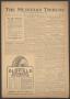 Newspaper: The Meridian Tribune (Meridian, Tex.), Vol. 29, No. 6, Ed. 1 Friday, …