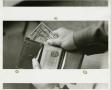 Photograph: [Photograph of Cash in Wallet]