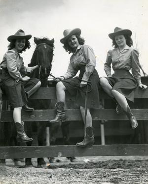 Primary view of object titled '[Photograph of Cowgirls with Horse]'.