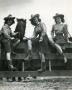 Thumbnail image of item number 1 in: '[Photograph of Cowgirls with Horse]'.