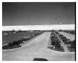 Photograph: Exterior of Consolidated Vultee Aircraft Corporation Plant in Fort Wo…