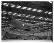 Photograph: [Aircraft During Assembly]