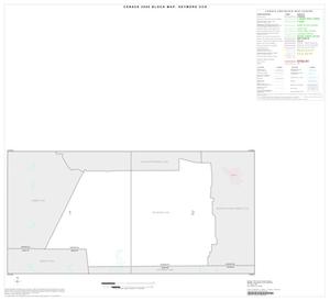 Primary view of object titled '2000 Census County Subdivison Block Map: Seymore CCD, Texas, Index'.