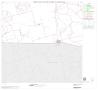 Map: 2000 Census County Subdivison Block Map: Garden City North CCD, Texas…
