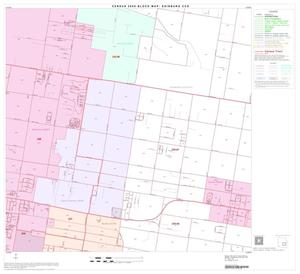Primary view of object titled '2000 Census County Subdivison Block Map: Edinburg CCD, Texas, Block 11'.