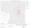 Map: 2000 Census County Subdivison Block Map: Talpa CCD, Texas, Block 2