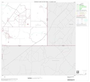 Primary view of object titled '2000 Census County Subdivison Block Map: Tilden CCD, Texas, Block 12'.