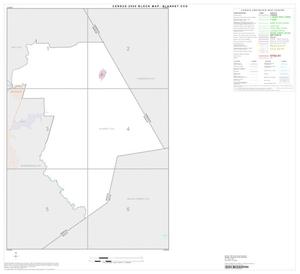 Primary view of object titled '2000 Census County Subdivison Block Map: Blanket CCD, Texas, Index'.
