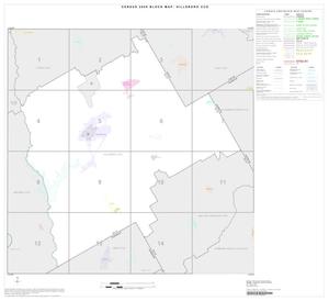 Primary view of object titled '2000 Census County Subdivison Block Map: Hillsboro CCD, Texas, Index'.