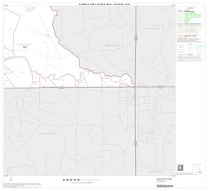 Primary view of object titled '2000 Census County Subdivison Block Map: Uvalde CCD, Texas, Block 21'.