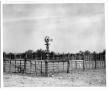 Photograph: Axtell Windmill on a Texas Ranch