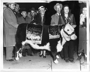 Primary view of object titled 'Grand Champion Hereford Steer, Fort Worth 1947'.