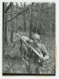 Photograph: [Soldier Carrying a .30 Caliber Machine Gun]