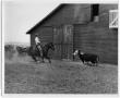 Photograph: H. Calhoun on Horse