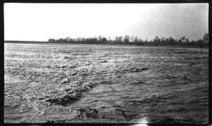Primary view of object titled 'Brazos River: Falls Mile 385'.