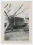 Primary view of [Soldier Standing Beside a Truck]