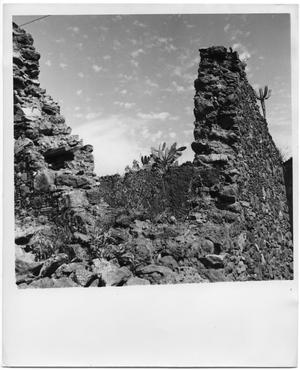 Primary view of object titled 'Rocks and Cacti'.