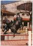 Thumbnail image of item number 1 in: 'Sculpture of Bill Pickett in the Fort Worth Stockyards'.