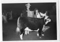 Thumbnail image of item number 1 in: 'Reserve Champion Herford Heifer and Linda Daugherty'.